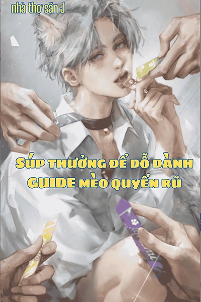 Súp Thưởng Để Dỗ Dành Guide Mèo Quyến Rũ